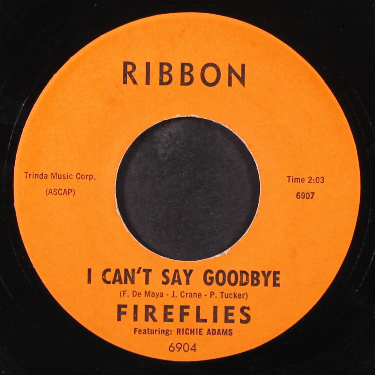 i can't say goodbye by FIREFLIES