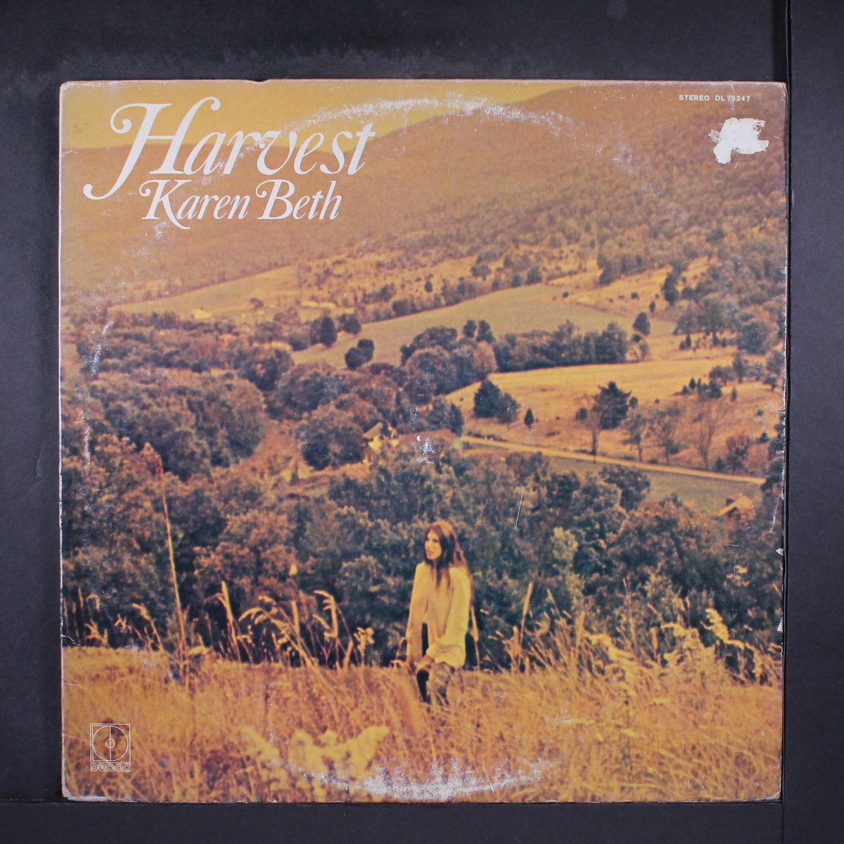 harvest by KAREN BETH