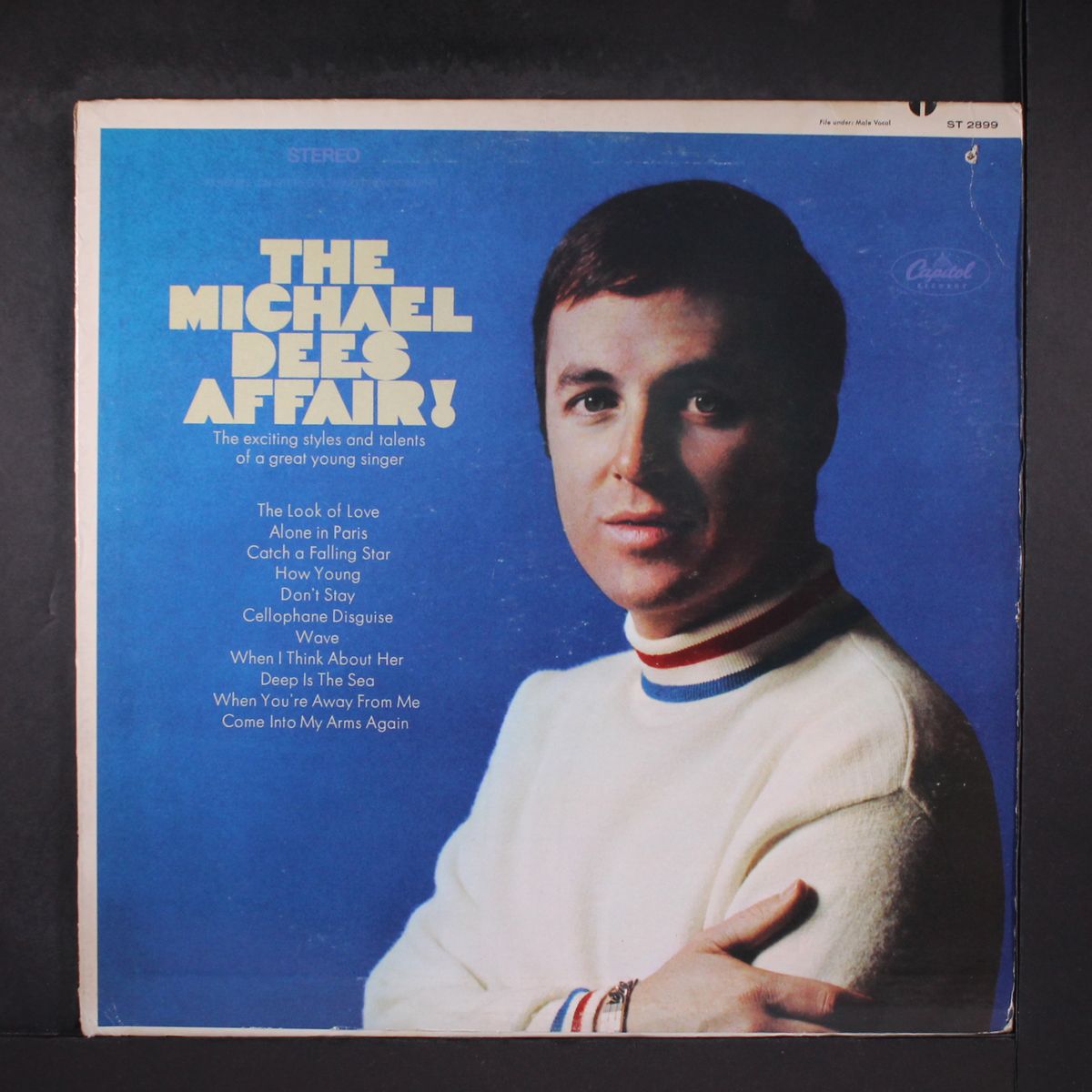 the michael dees affair! by MICHAEL DEES