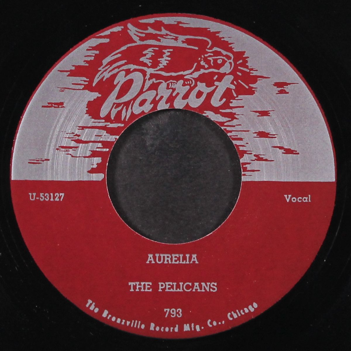 white cliffs of dover / aurelia by PELICANS