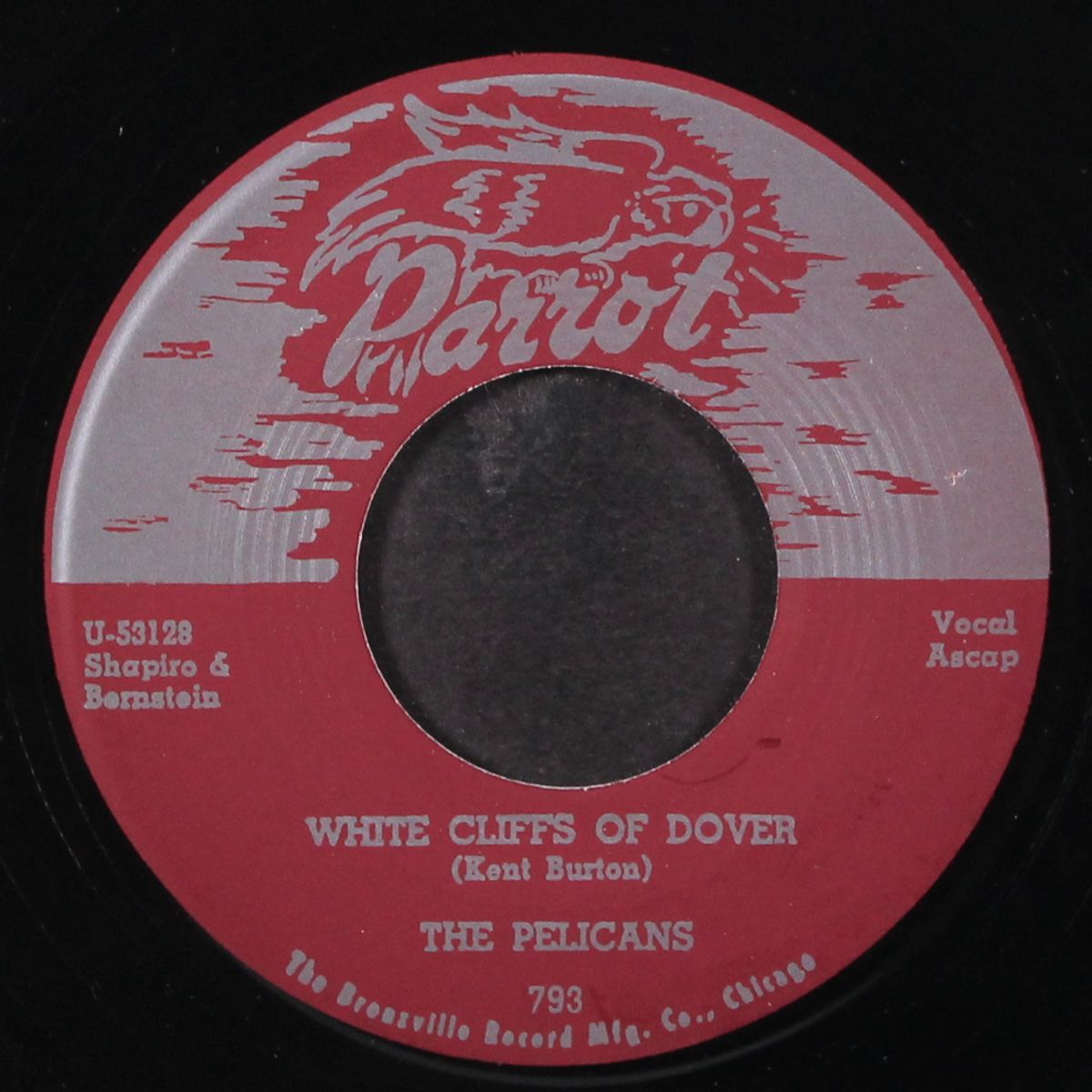 white cliffs of dover / aurelia by PELICANS
