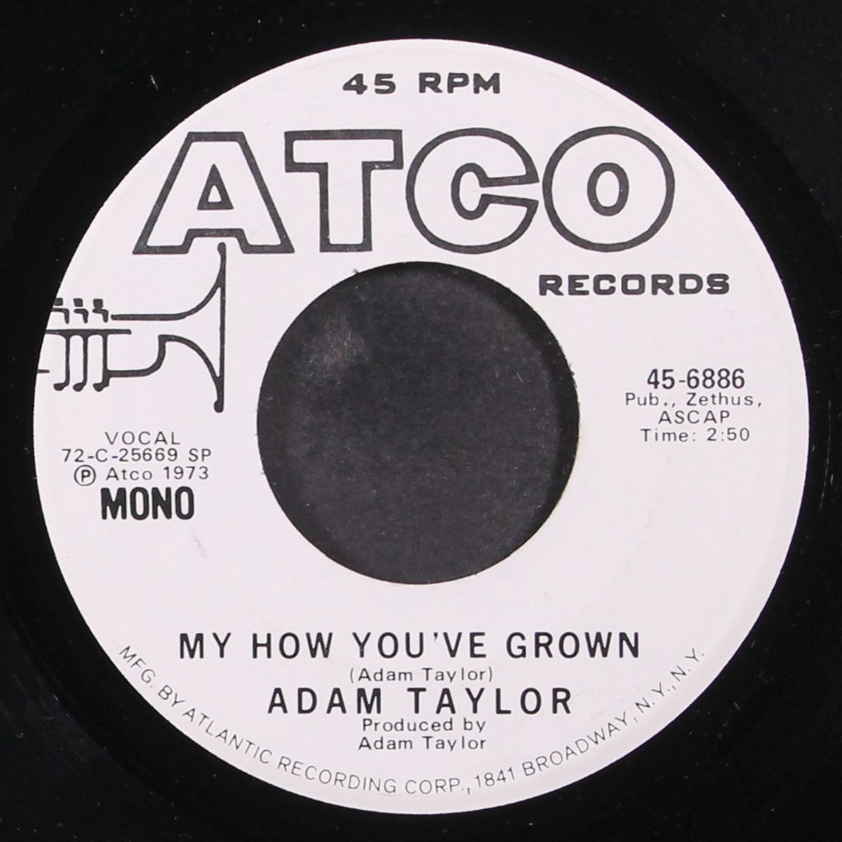 my home you've grown by ADAM TAYLOR