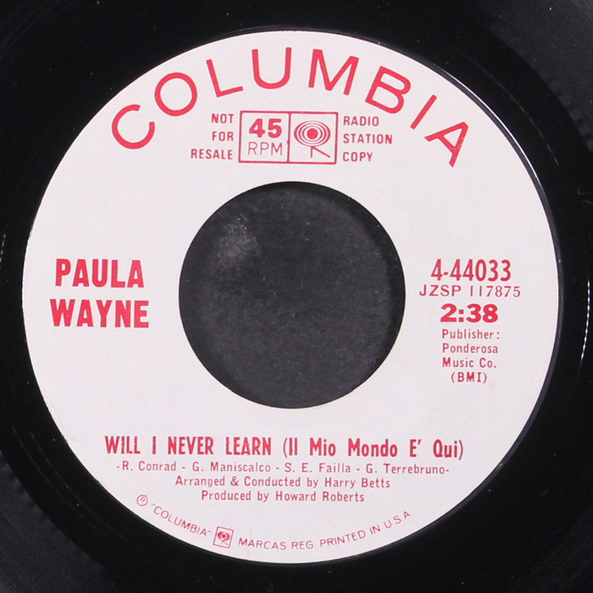 will i never learn / lonely people do foolish things by PAULA WAYNE