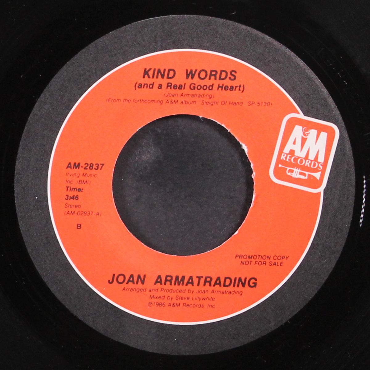 kind words (and a real good heart) / edited version by JOAN ARMATRADING