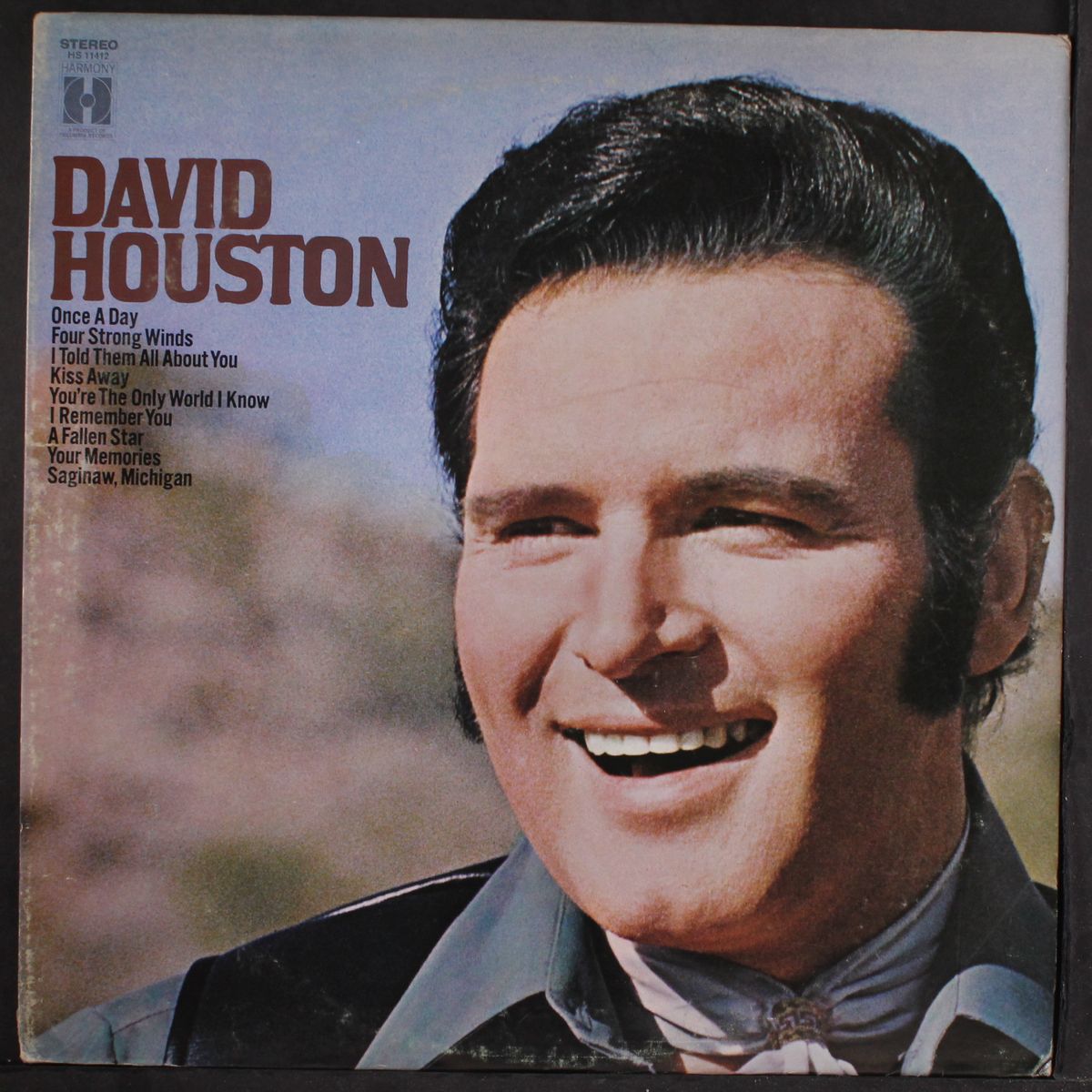 david houston by DAVID HOUSTON