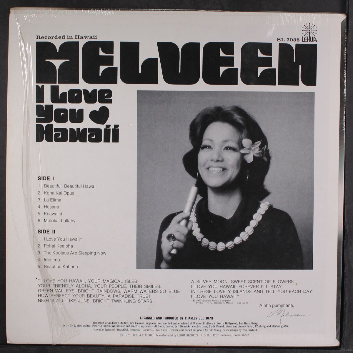 i love you hawaii by MELVEEN LEED
