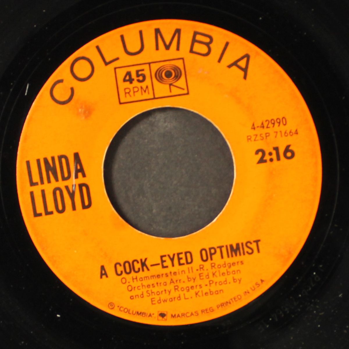 a cock-eyed optimist by LINDA LLOYD