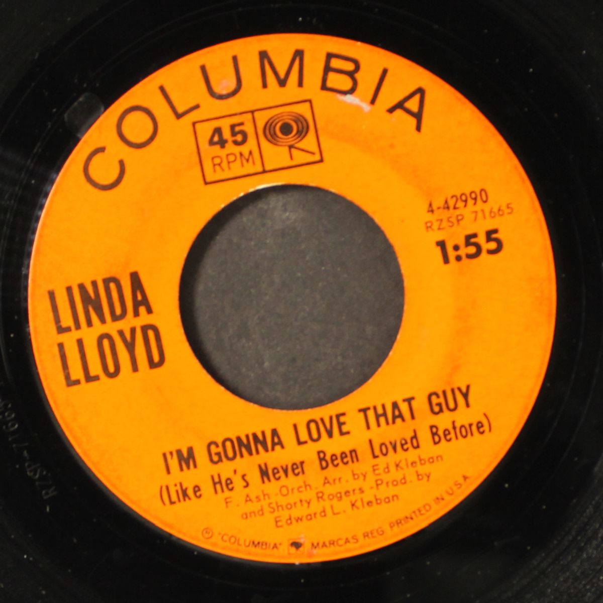 a cock-eyed optimist by LINDA LLOYD