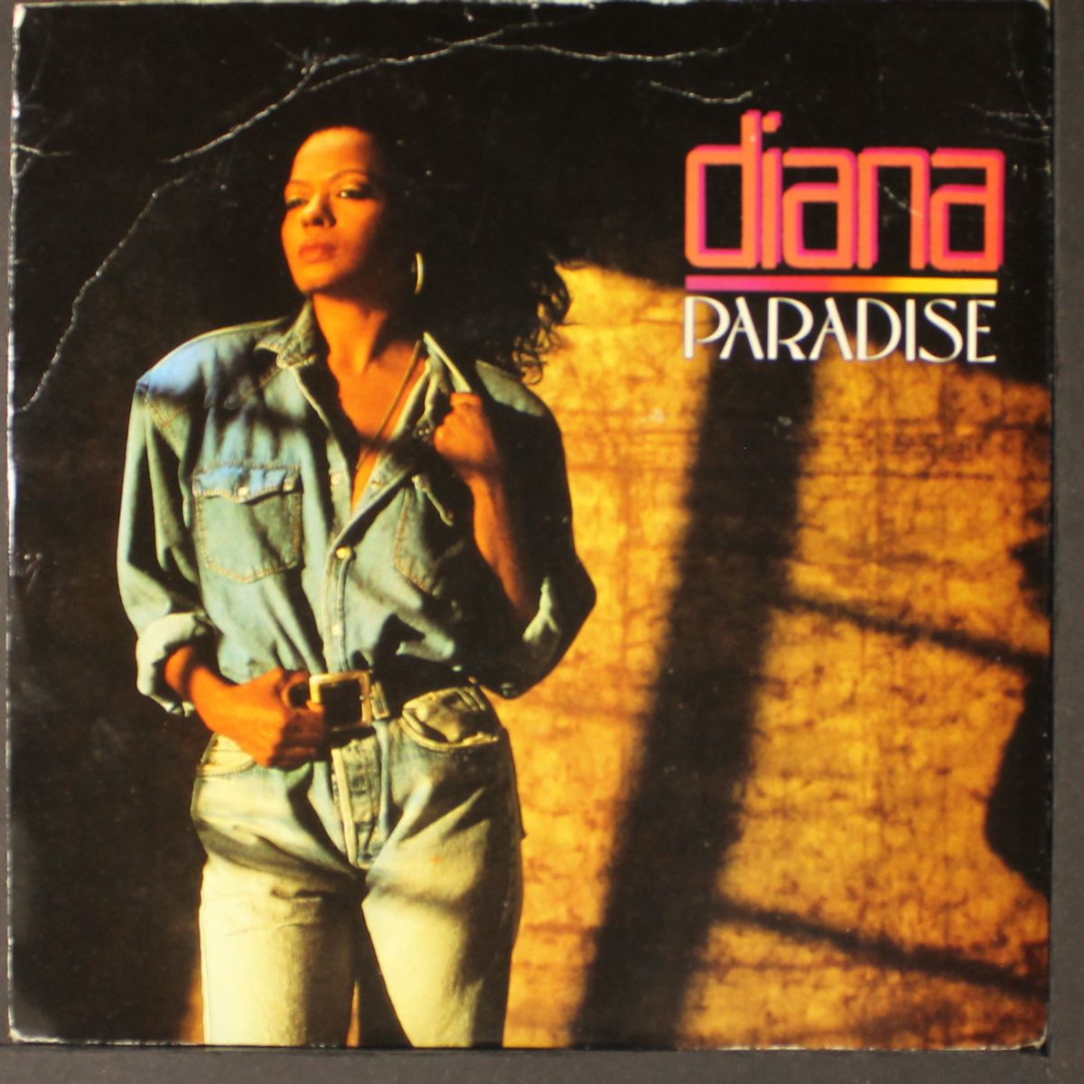 paradise / we stand together by DIANA ROSS