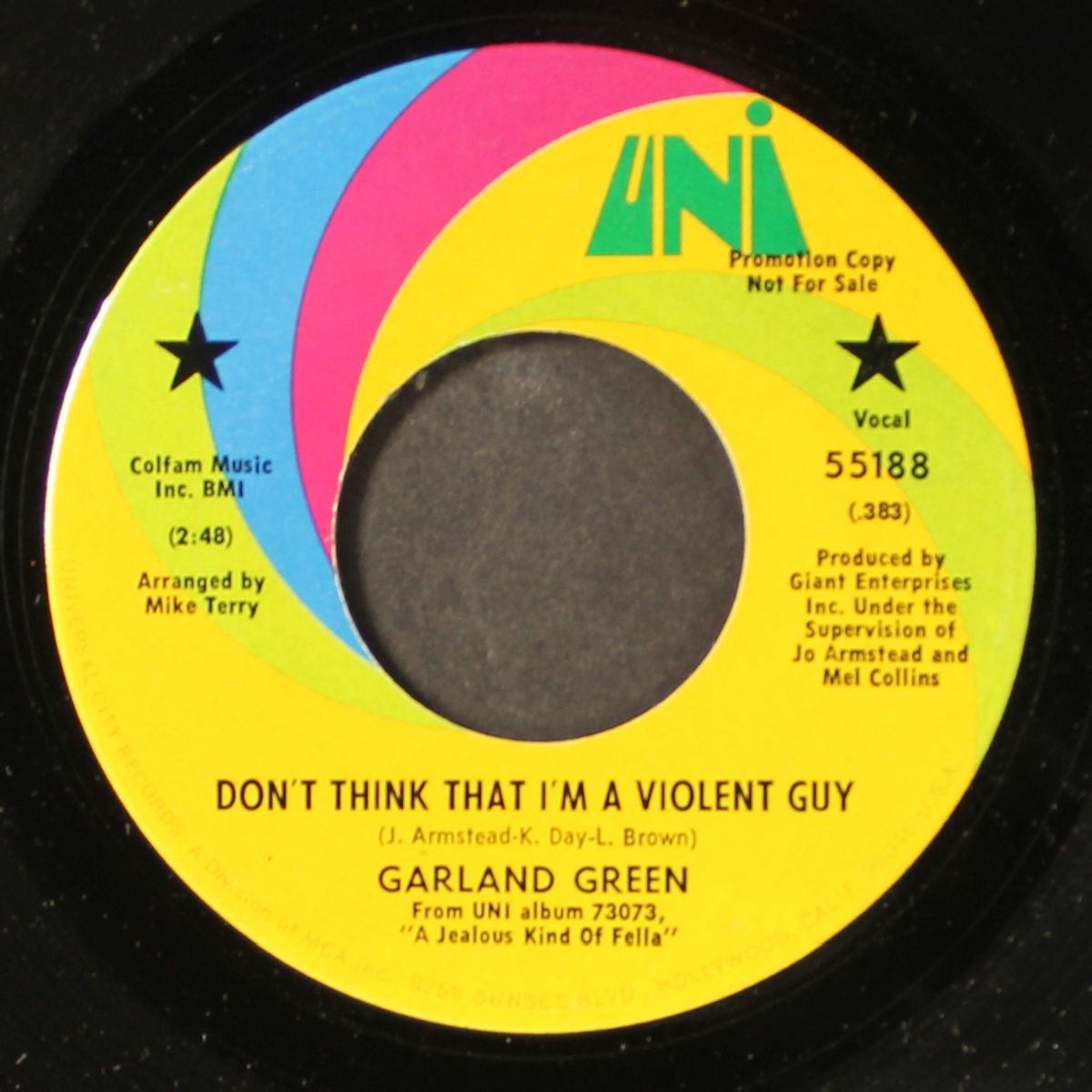 don't think i'm a violent guy / all she did by GARLAND GREEN
