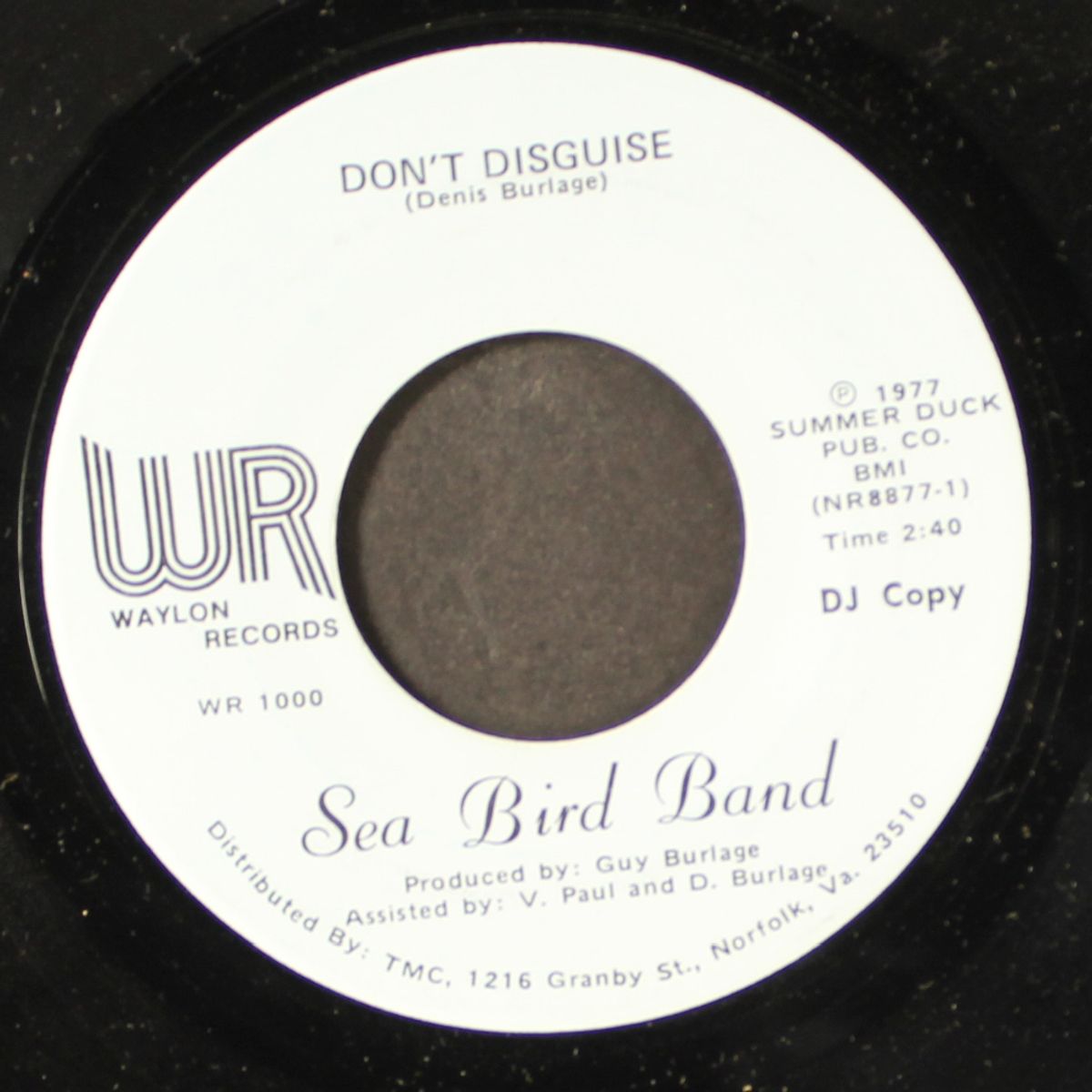 don't disguise / virginia feeling by SEABIRD BAND