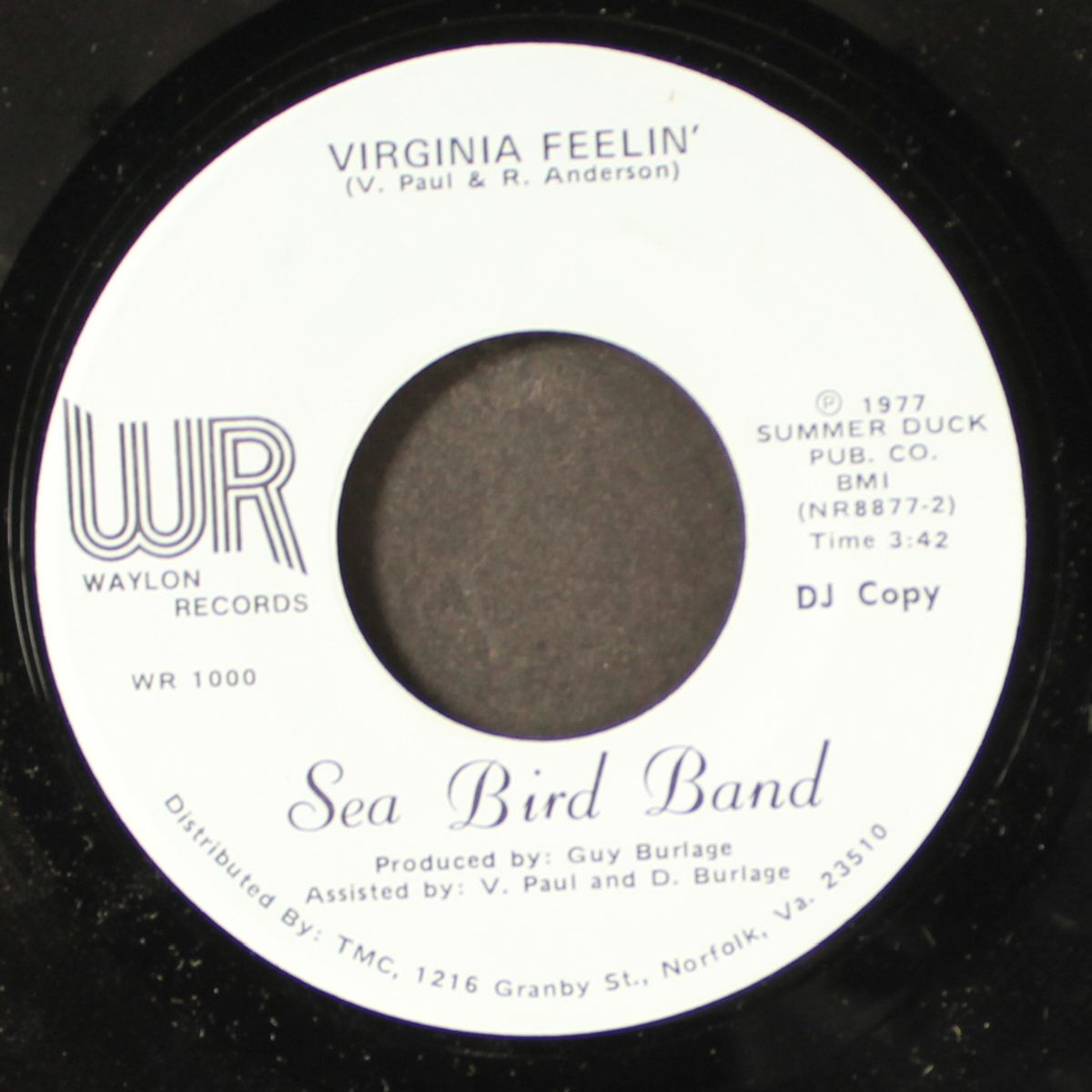 don't disguise / virginia feeling by SEABIRD BAND