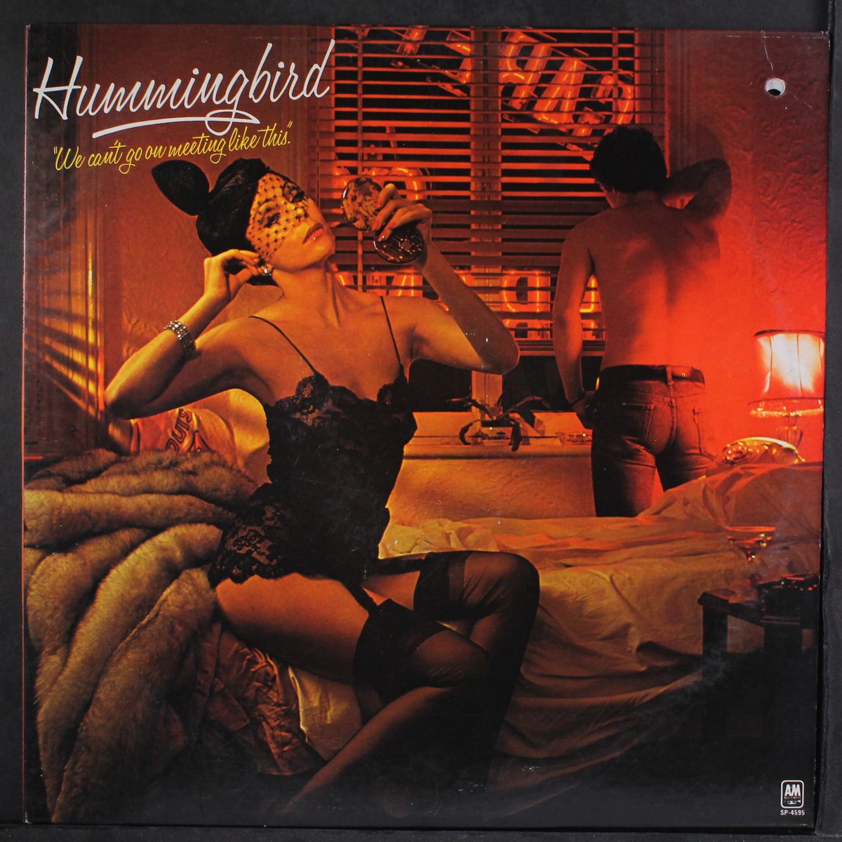 we can't go on meeting like this by HUMMINGBIRD