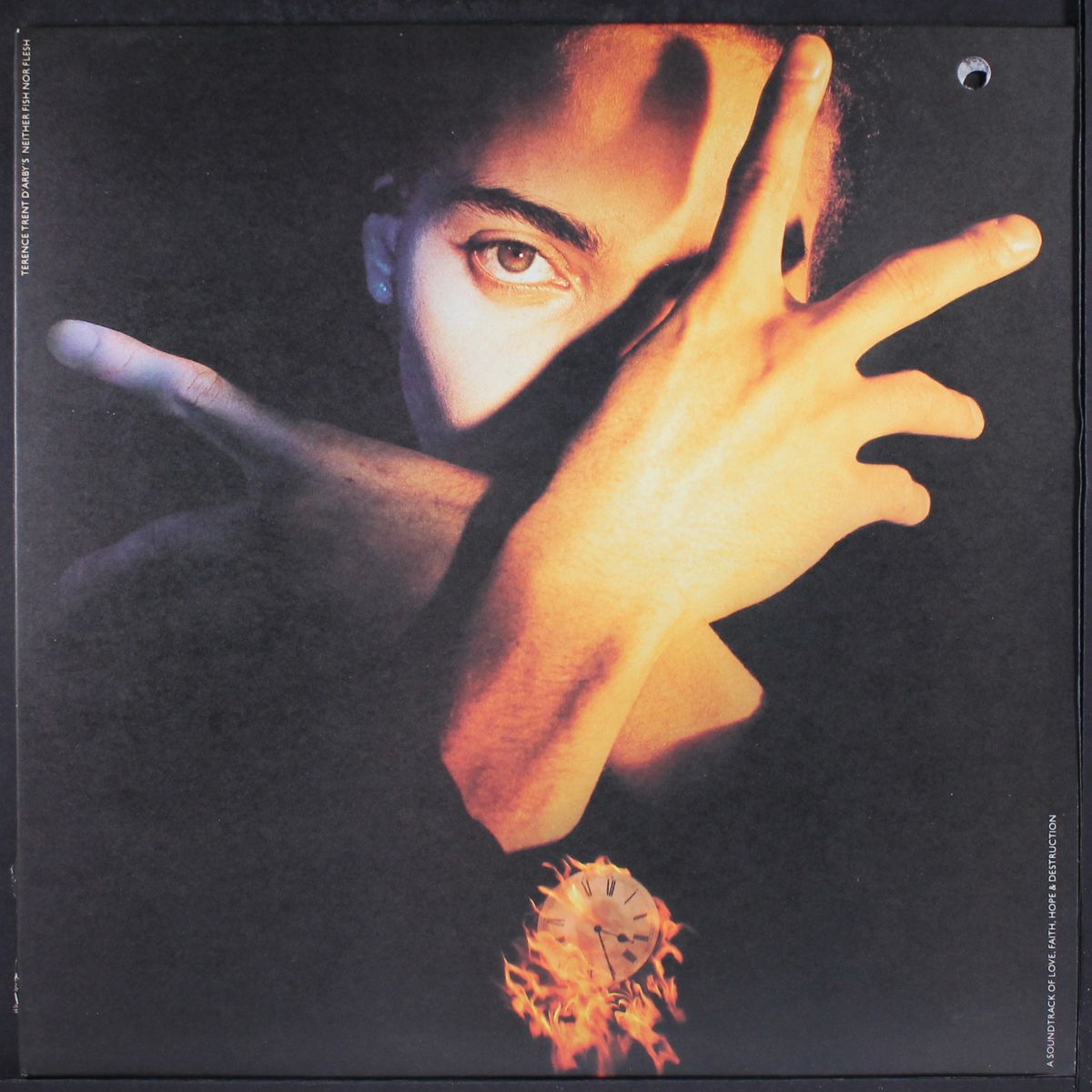 neither fish nor flesh by TERENCE TRENT D'ARBY