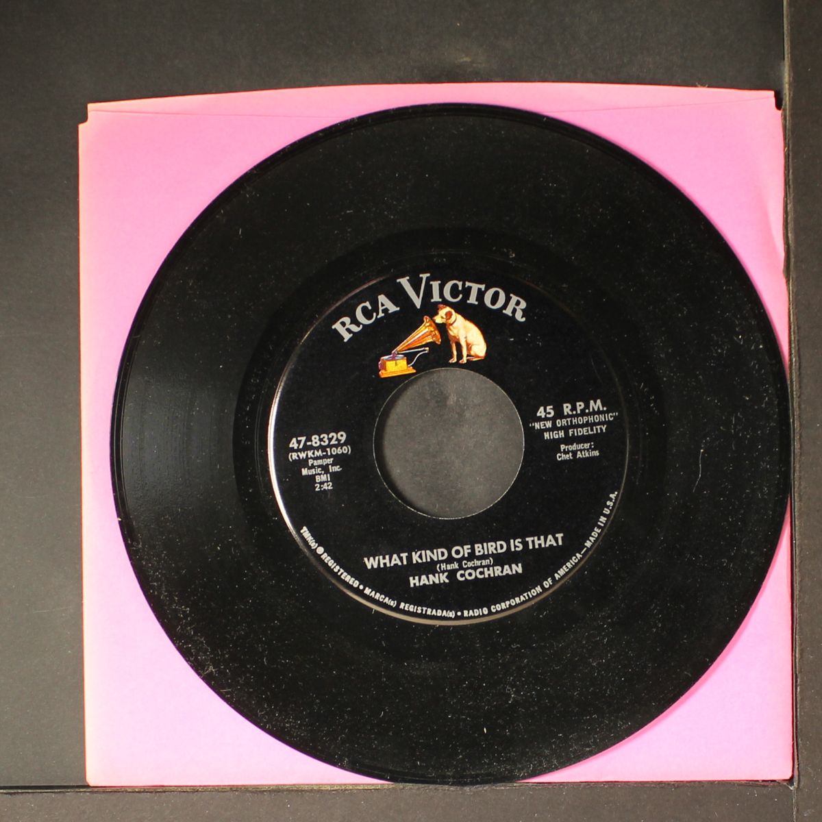 what kind of bird is that / my baby's his baby now by HANK COCHRAN