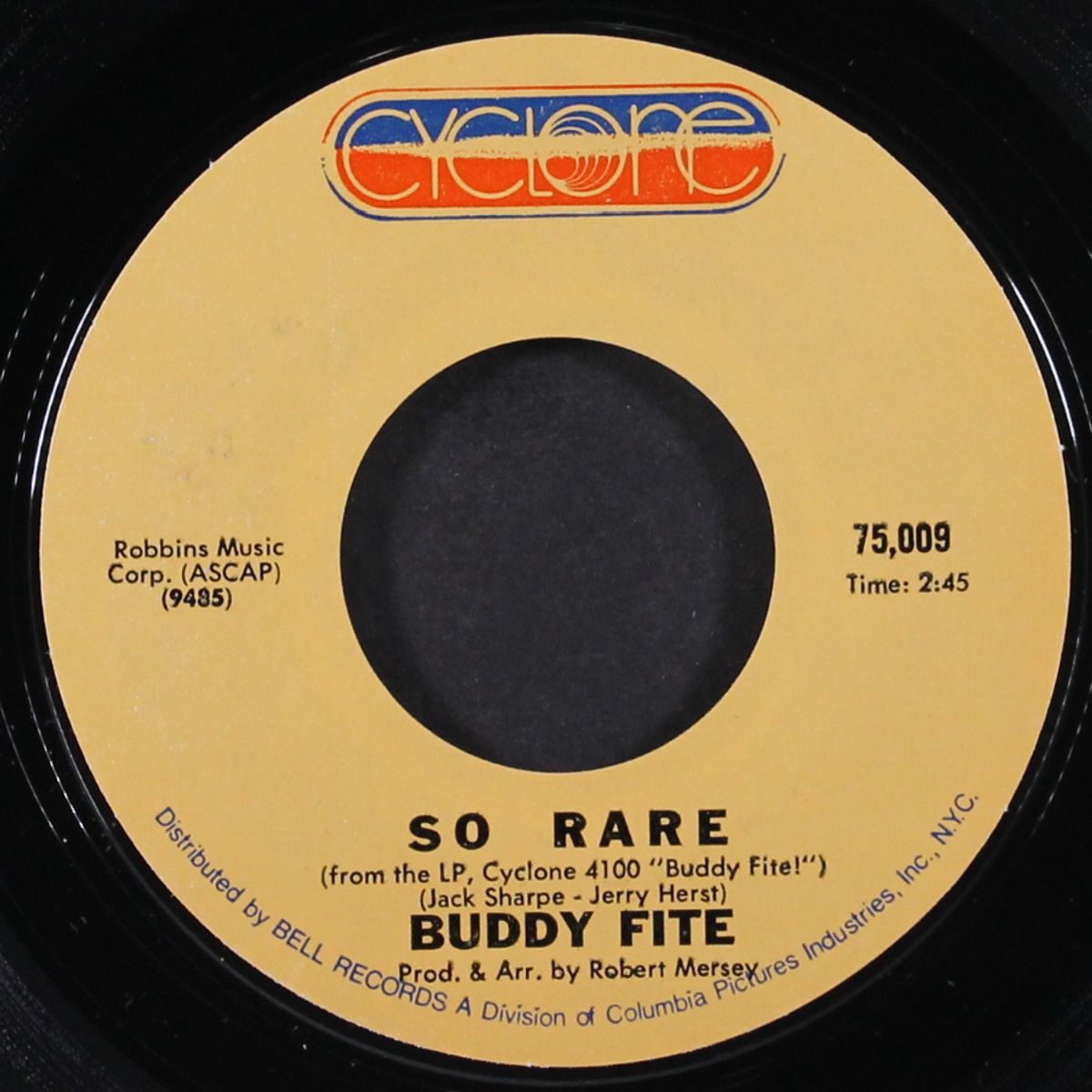 so rare / can't take that away by BUDDY FITE