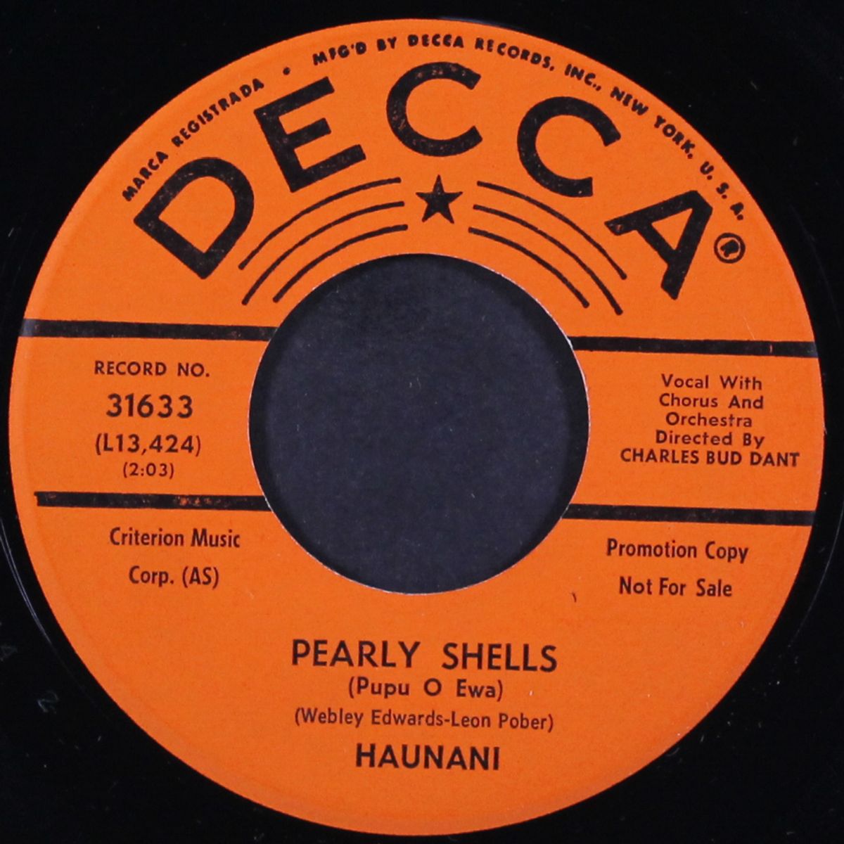 pearly shells / akaka falls by HAUNANI