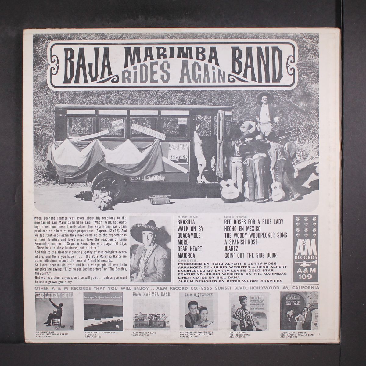 rides again by BAJA MARIMBA BAND