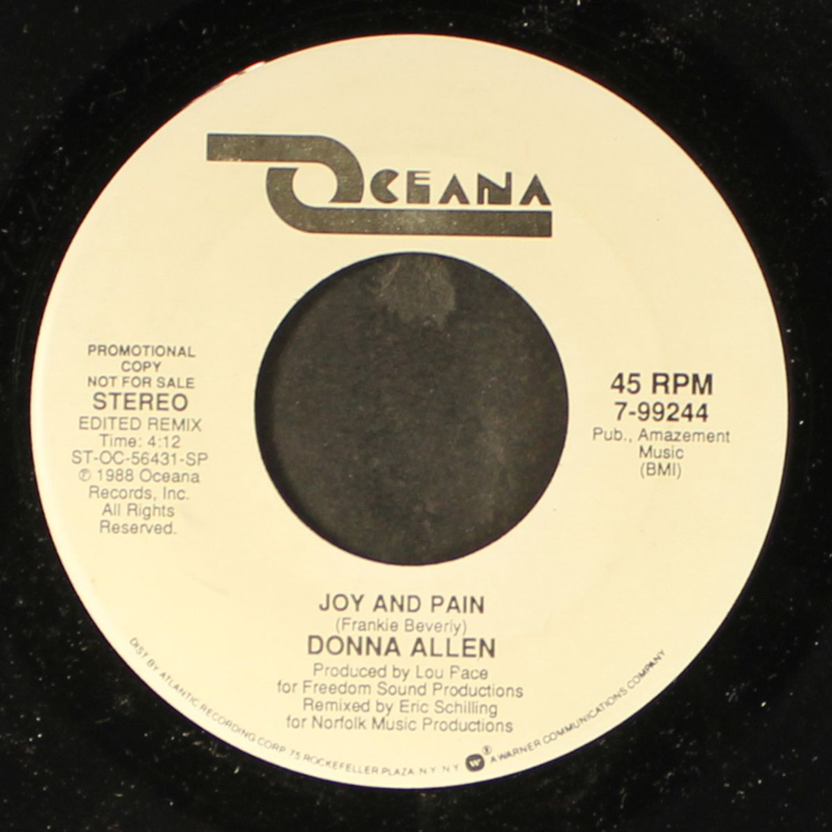 joy and pain / same by DONNA ALLEN