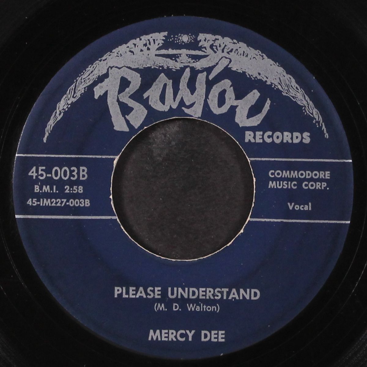 please understand / anything in this world by MERCY DEE