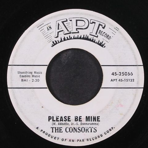 CONSORTS