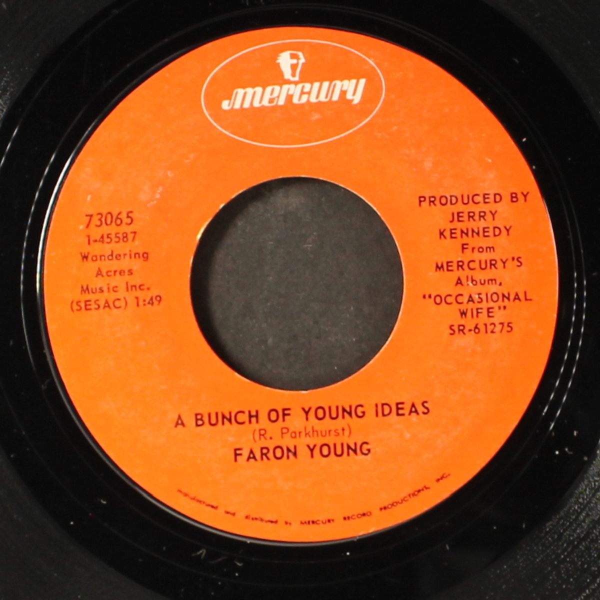 if i ever fall in love / a bunch of young ideas by FARON YOUNG