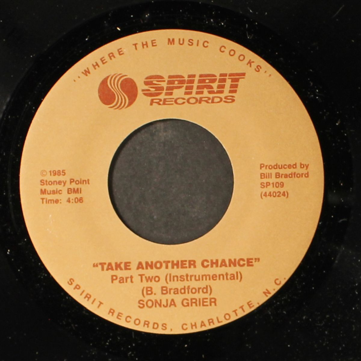 take another chance / instrumental by SONJA GRIER