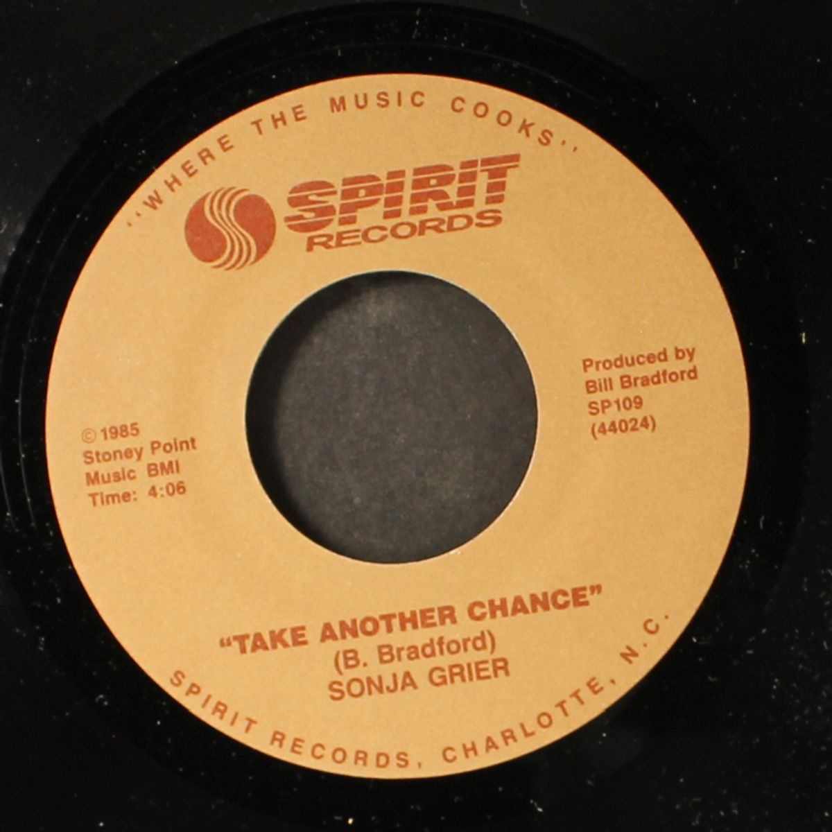 take another chance / instrumental by SONJA GRIER
