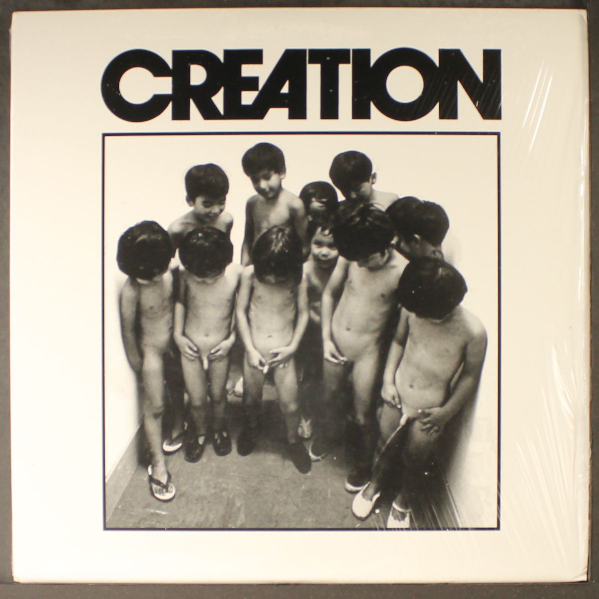 creation by CREATION
