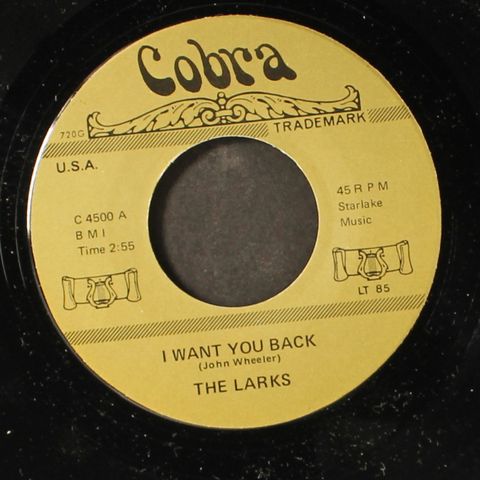 LARKS / MASQUERADERS
