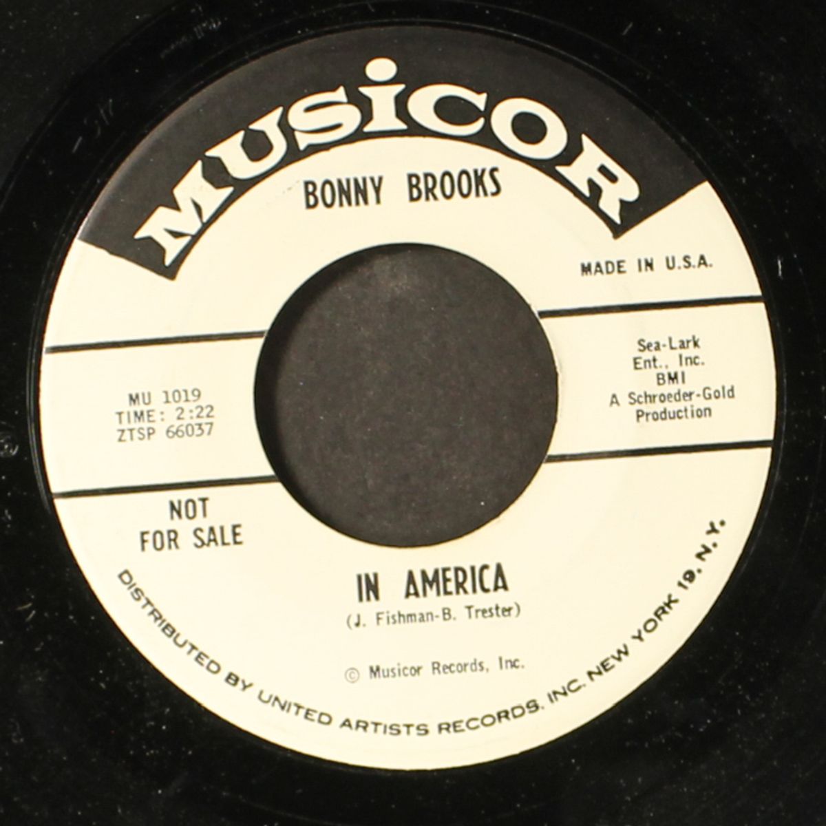 going to church on sunday / in america by BONNY BROOKS