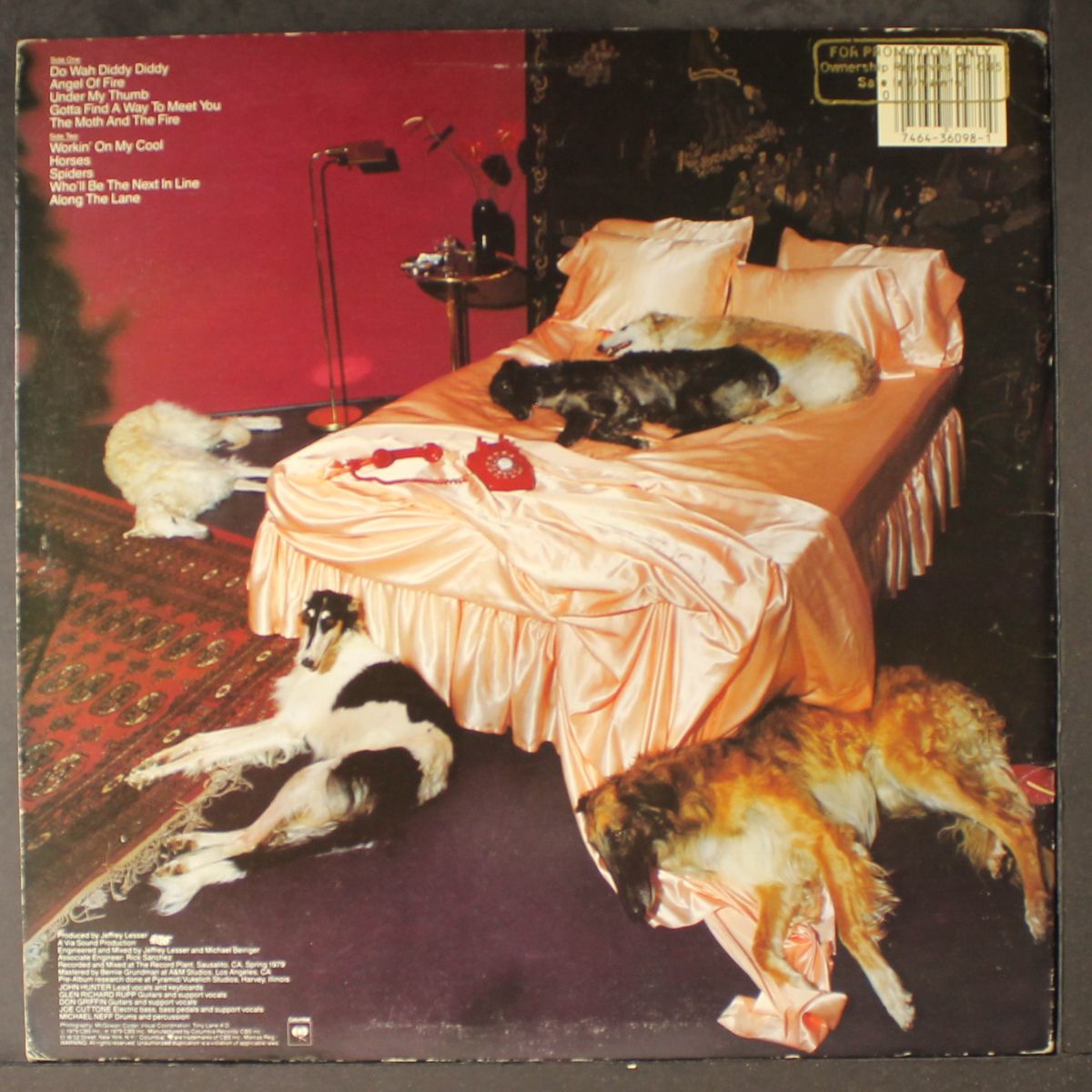 puttin' on the dog by HOUNDS