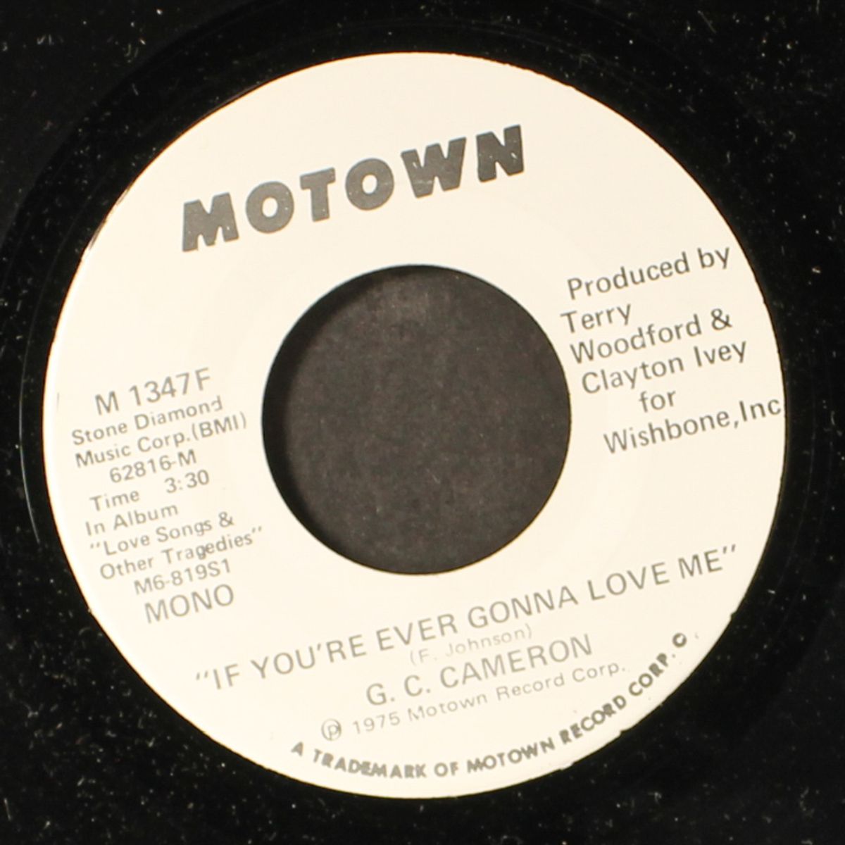 if you're ever gonna love me / mono by G.C. CAMERON