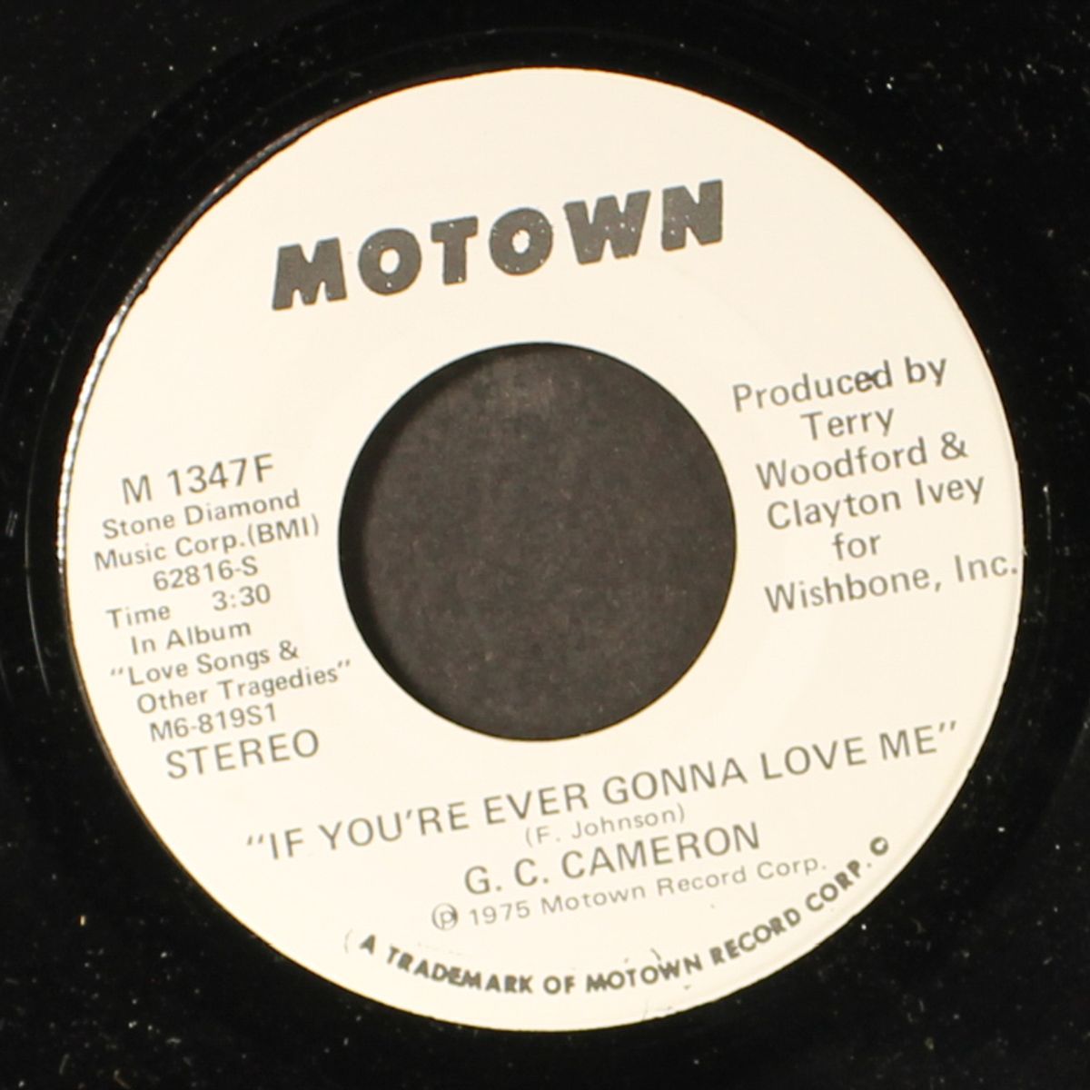 if you're ever gonna love me / mono by G.C. CAMERON