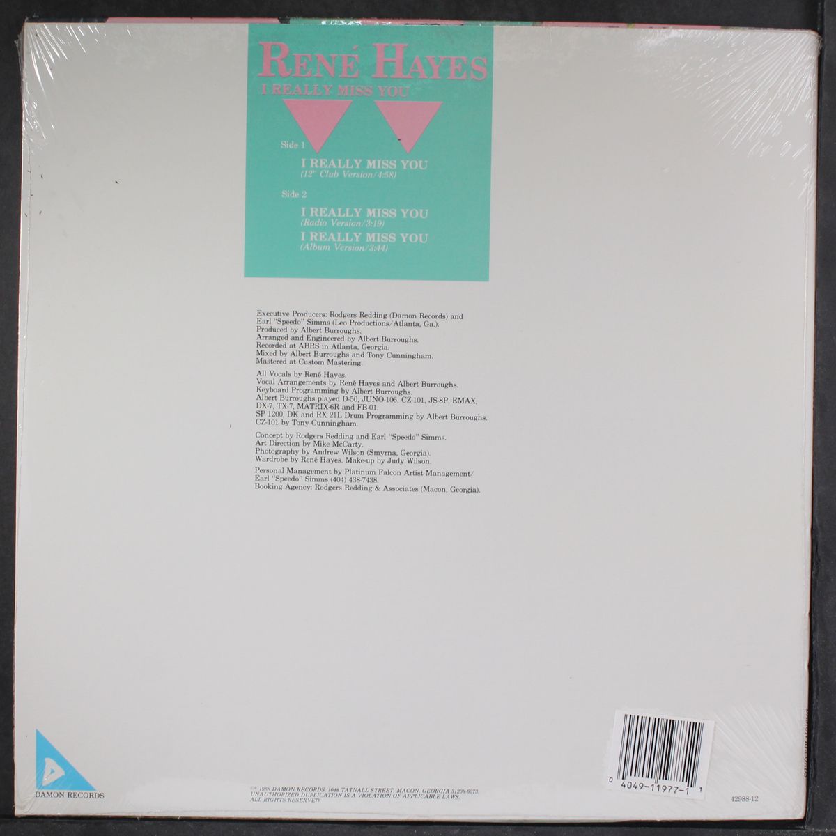 i really miss you by RENE HAYES