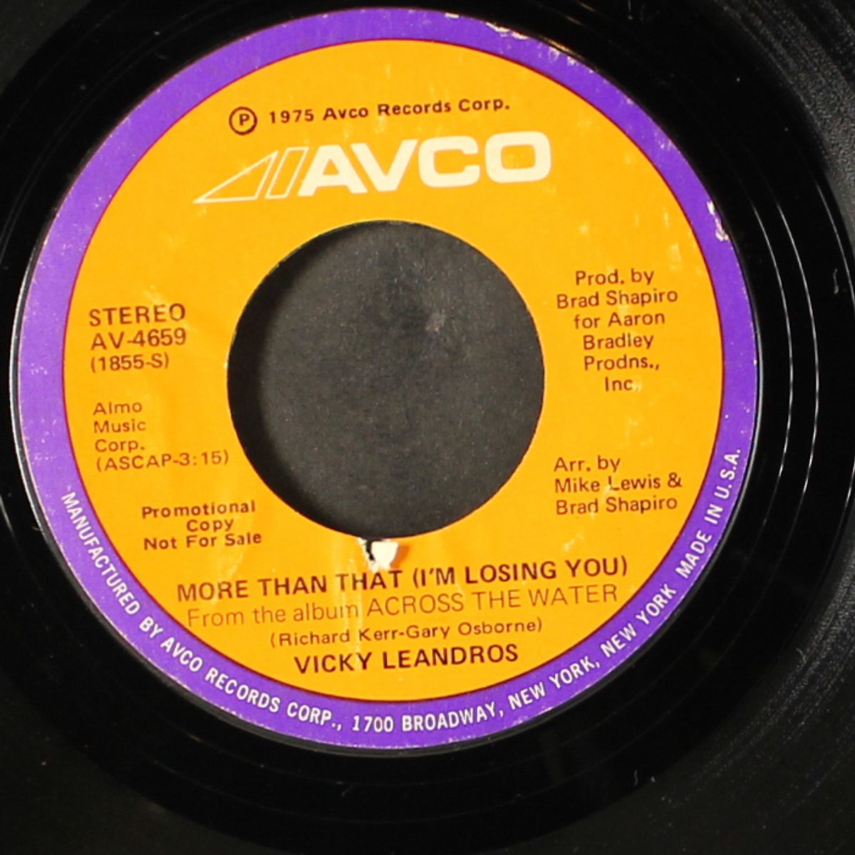 more than that (i'm losing you) / same by VICKY LEANDROS