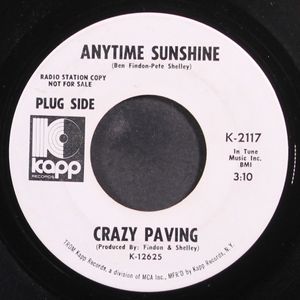 CRAZY PAVING
