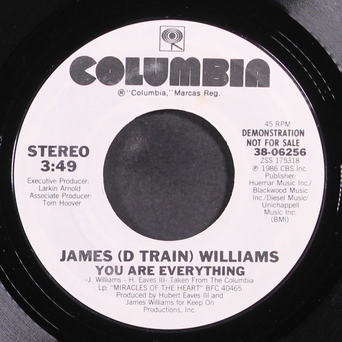 you are everything / instro by JAMES (D-TRAIN) WILLIAMS