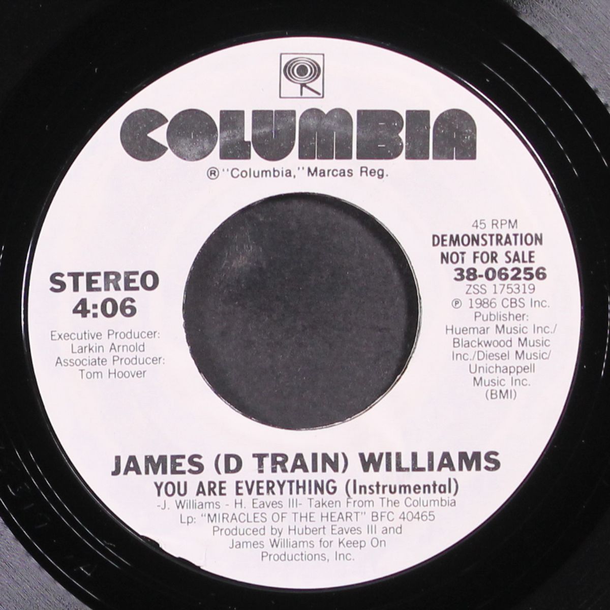 you are everything / instro by JAMES (D-TRAIN) WILLIAMS