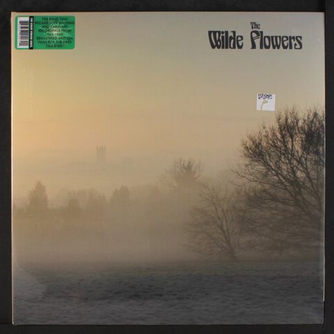 WILDE FLOWERS