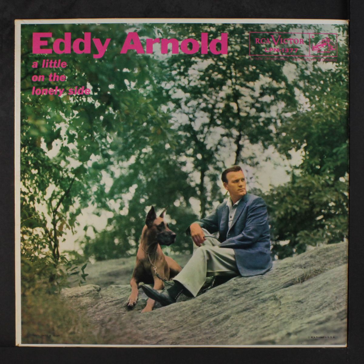 a little on the lonely side by EDDY ARNOLD