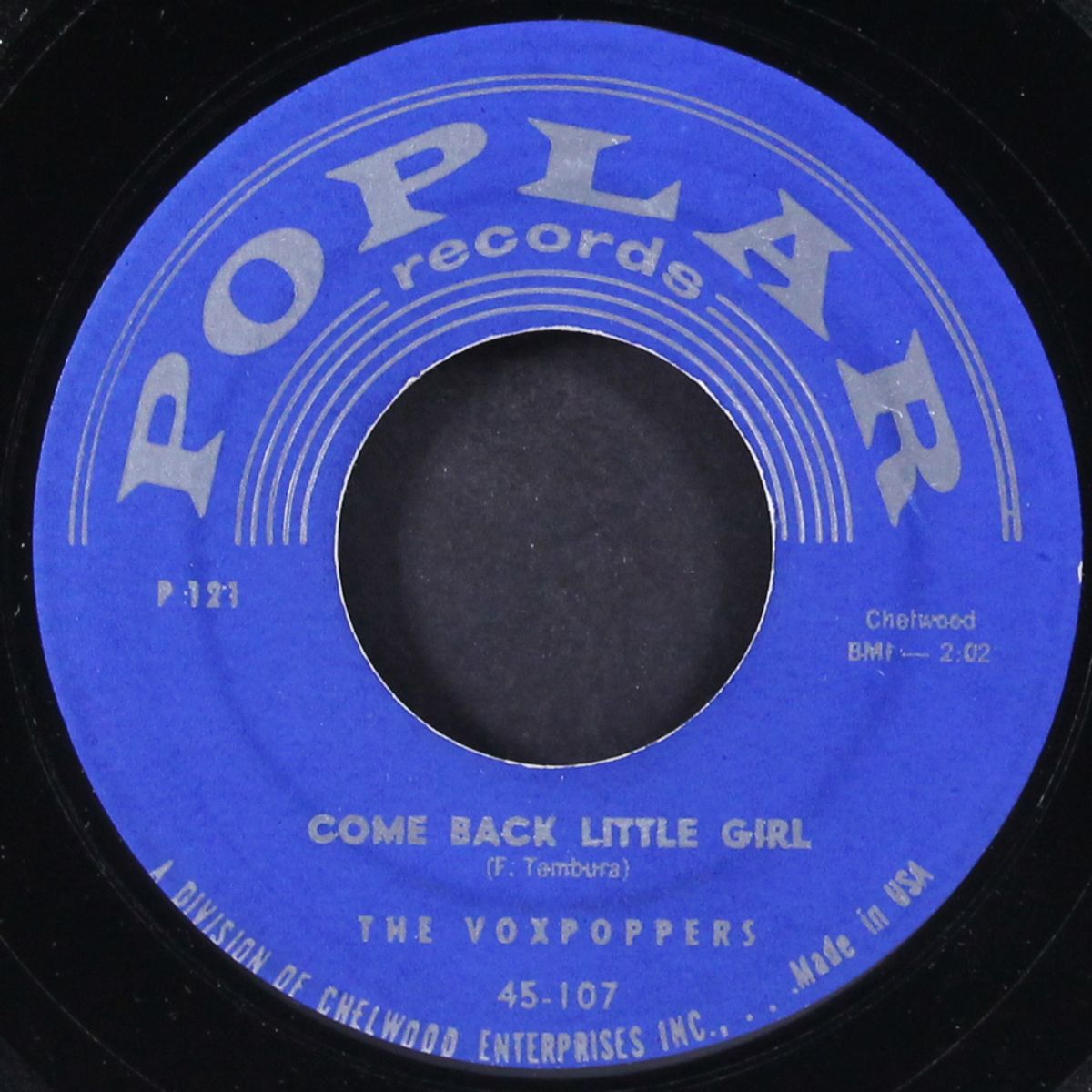 a love to last a lifetime / come back little girl by VOXPOPPERS