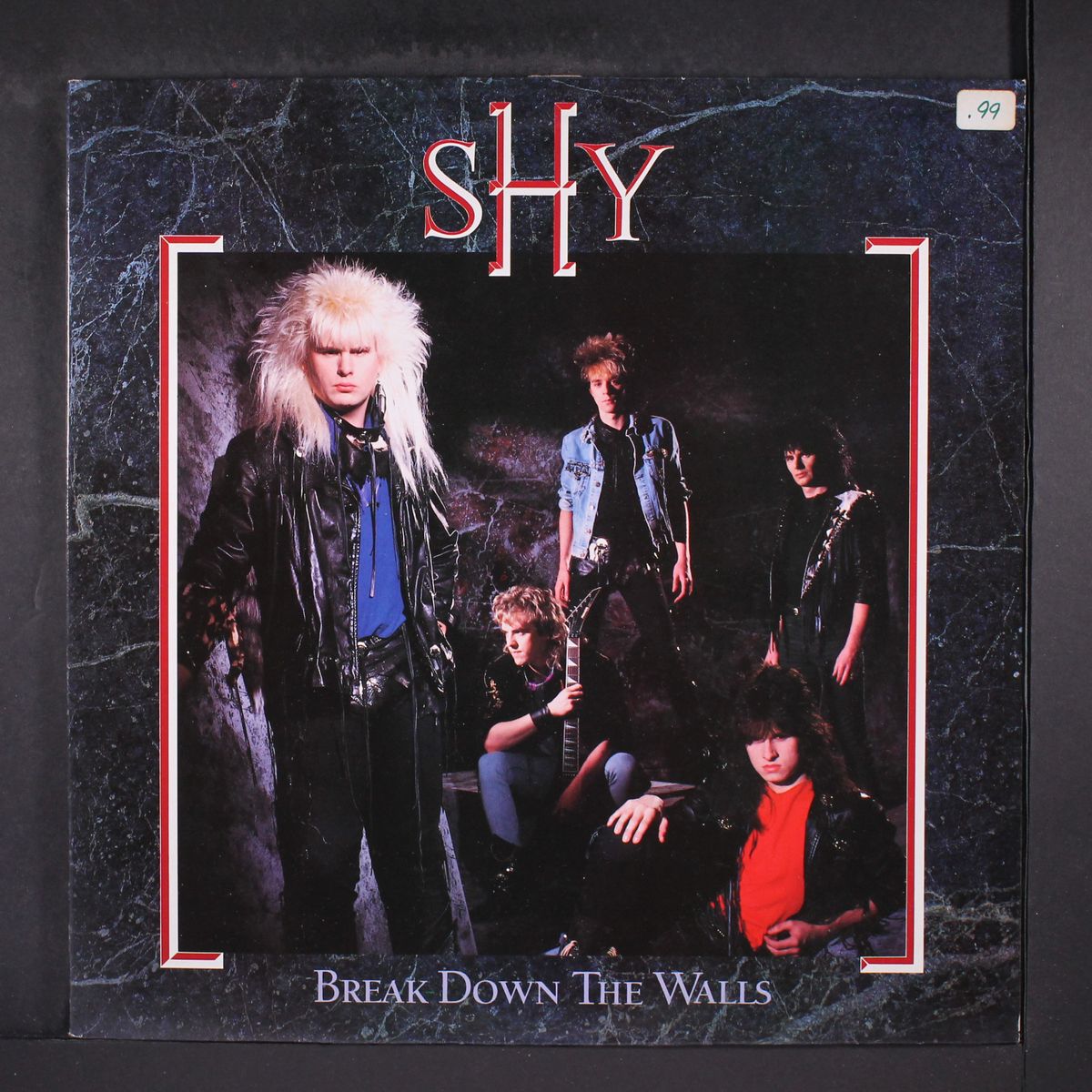 break down the walls by SHY