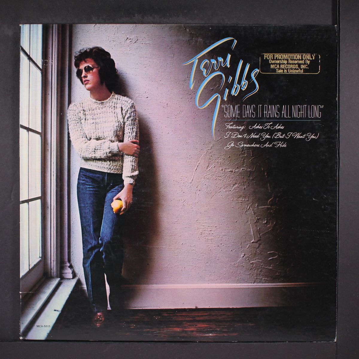 some days it rains all night long by TERRI GIBBS