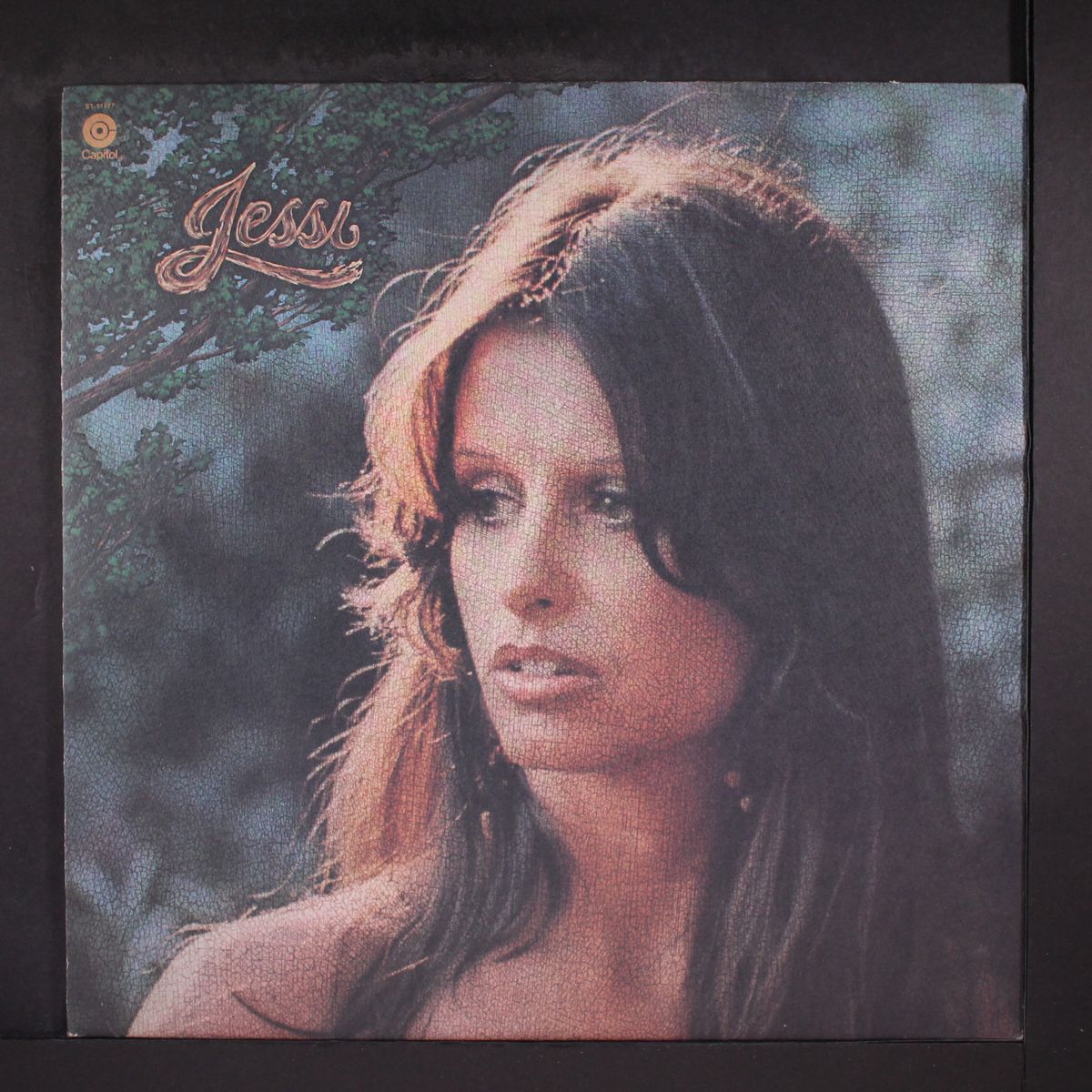 jessi by JESSI COLTER