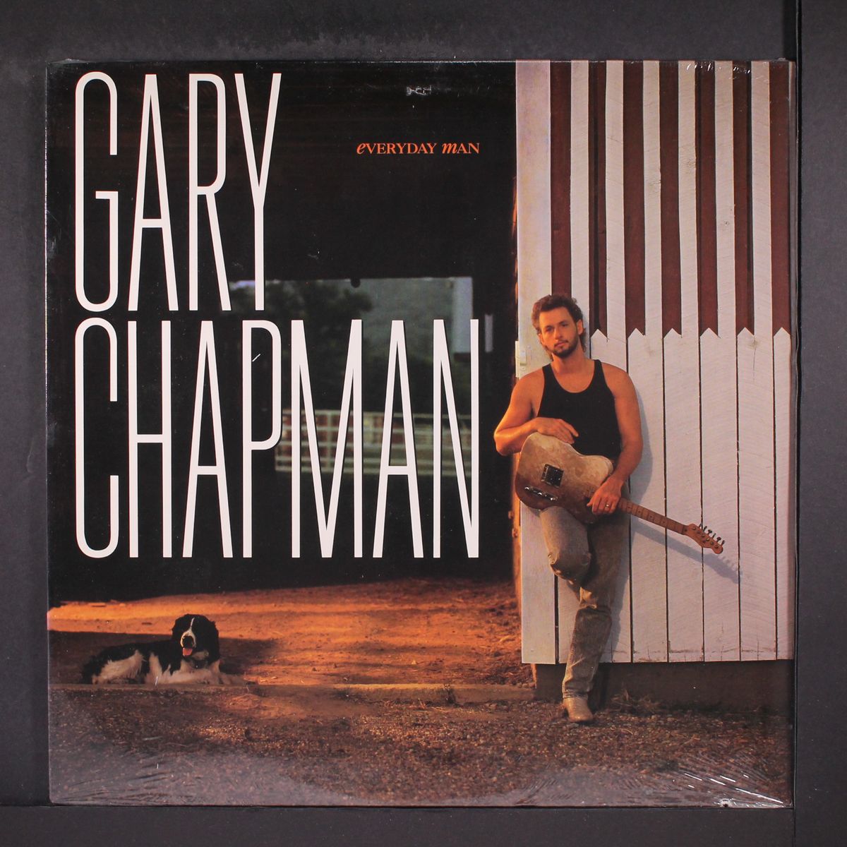 everyday man by GARY CHAPMAN