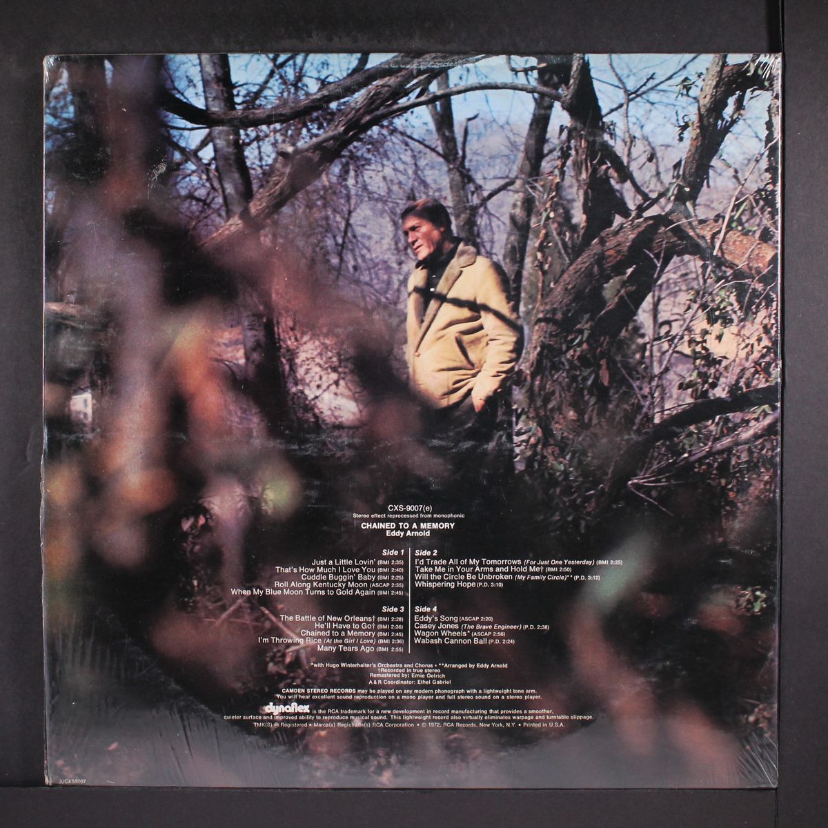 chained to a memory by EDDY ARNOLD