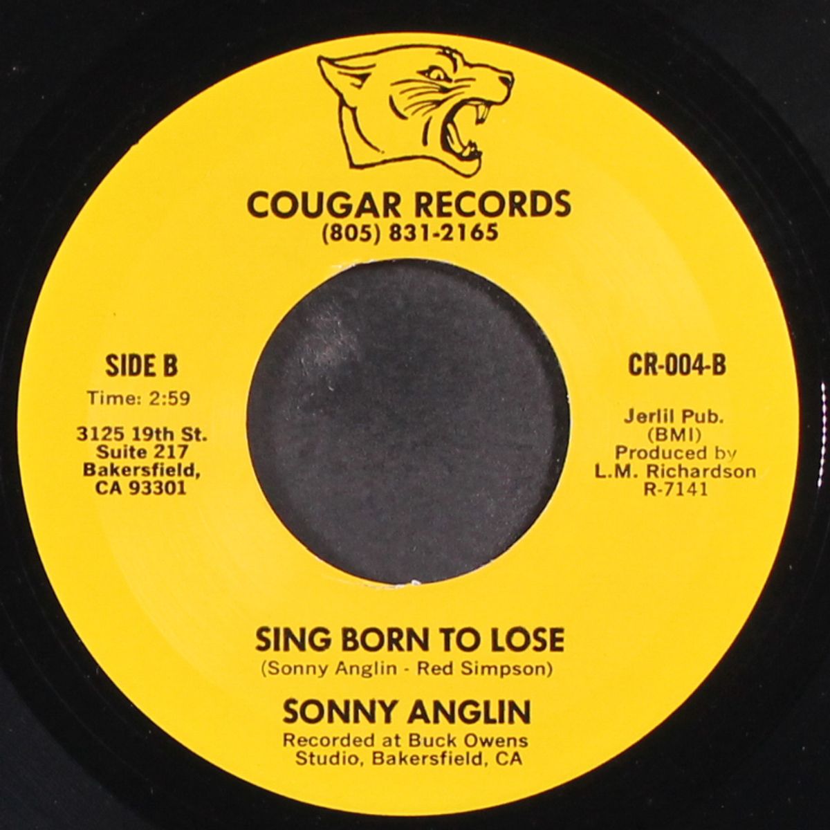 i'm a truck drivin pool shootin son of a gun by SONNY ANGLIN