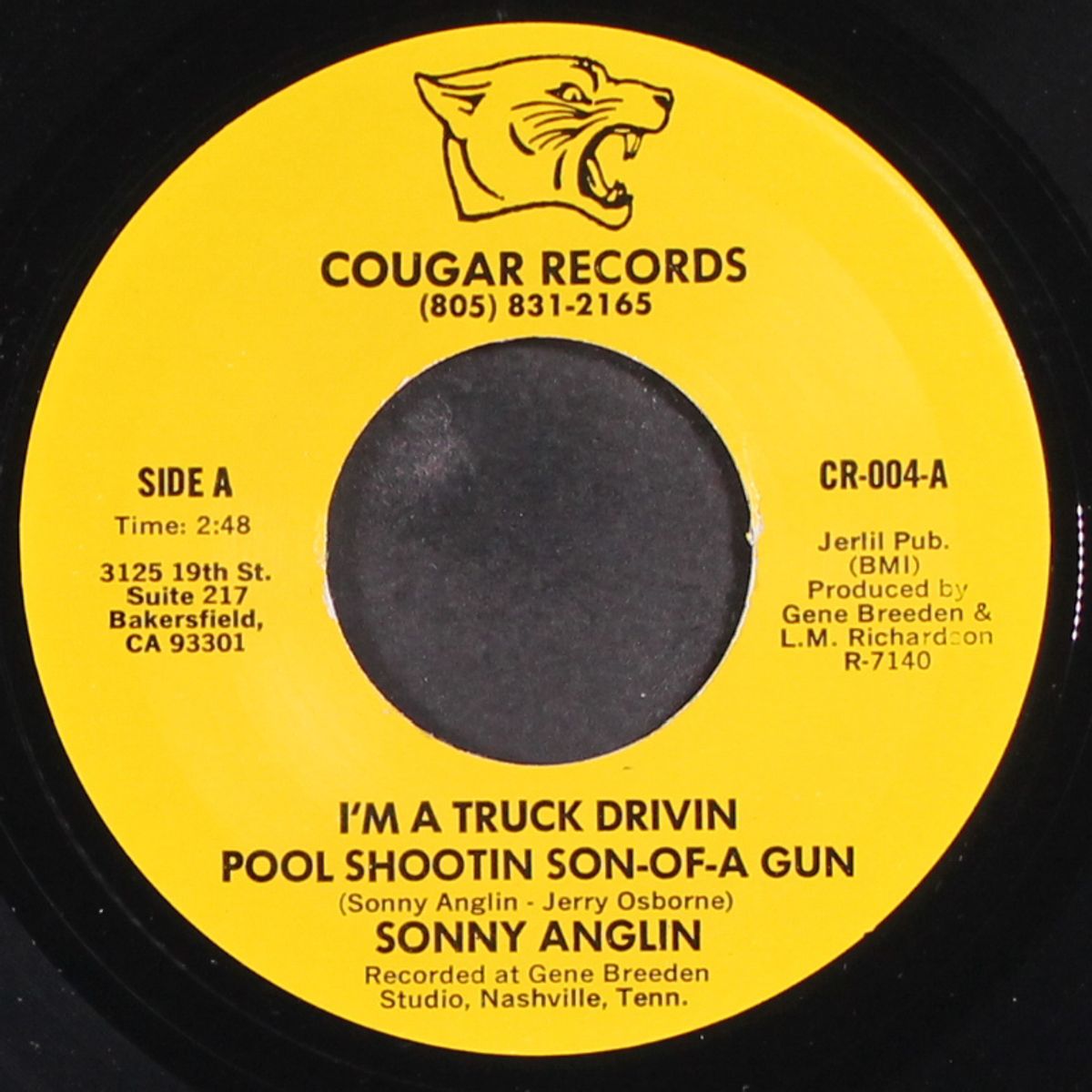 i'm a truck drivin pool shootin son of a gun by SONNY ANGLIN
