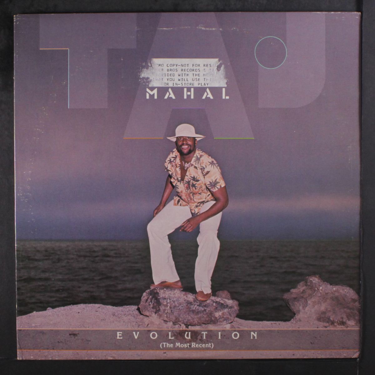 evolution by TAJ MAHAL